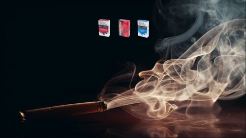 Native Smokes Canada, allows Canadian's 19+ to buy native cigarettes and cigars online directly to your doorstep! #1 Native online smoke Shop.

Visit us: https://nativesmokescanada.com/