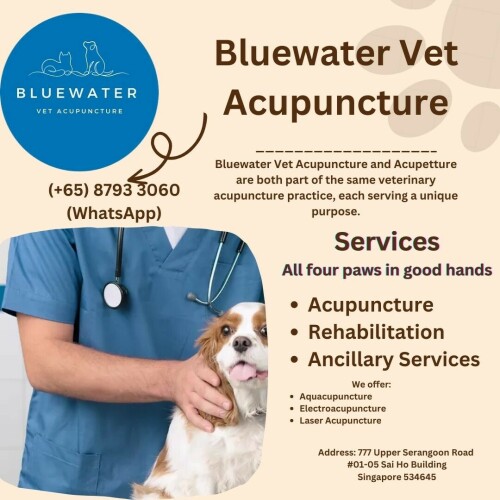 Book an appointment for veterinary rehabilitation services and pet acupuncture in Singapore, including physical therapy, laser therapy, and hydrotherapy for pets.

visit here:- https://www.bluewatervetacupuncture.sg/services