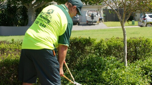 Lawn mowing and garden cleaning are both areas of expertise for the professionals that work for Jim's Lawn Care. Call us and make your reservation for lawn mowing services in Parkdale right away by giving us a call.


https://jimsmowingeasternsuburbs.com.au/meet-our-franchisees/parkdale/lawn-mowing-parkdale/
