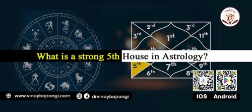 Astrologers say that a strong 5th house is the biggest asset in one's life. Why so? Because the 5th house is the house of merits of our past lives. The blessings of the past lives are seen from the fifth house. The importance of the 5th House in Astrology can be seen as follows:
Children: a strong 5th house gives noble and obedient children. If you are looking for nadi matching in horoscope contact us. For more info visit: https://www.vinaybajrangi.com/astrology-houses/fifth-house.php | https://www.vinaybajrangi.com/kundli-doshas/nadi-dosh.php | https://www.vinaybajrangi.com/services/online-report/business-partnership-compatibility.php
