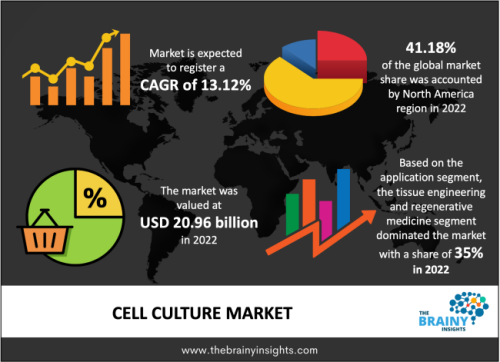 The global cell culture market is expected to grow from USD 20.96 billion in 2022 to USD 56.19 billion by 2030, at a CAGR of 13.12% during the forecast period 2022-2030. The North American region cell culture market share in 2022 is 41.18%.

https://www.thebrainyinsights.com/report/cell-culture-market-13000