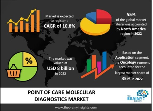 The global point of care molecular diagnostics market was valued at USD 8 billion in 2022, growing at a CAGR of 10.8% from 2023 to 2032. The market is expected to reach USD 22.3 billion by 2032.