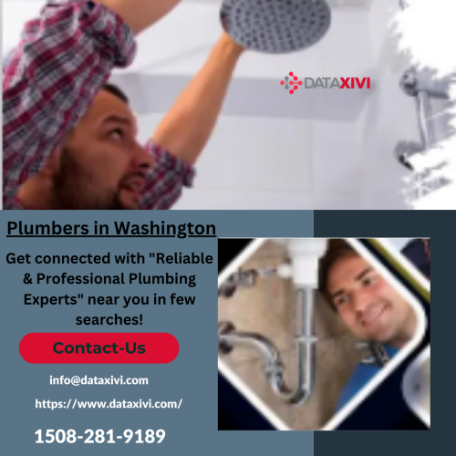 DataXiVi, your trusted plumbing solution in Washington, ensures seamless services for all your plumbing needs. Our skilled plumbers at Plumbers in Washington tackle issues with precision, offering top-notch repairs and installations. Count on us for reliable and efficient plumbing solutions. Your satisfaction is our priority.

https://www.dataxivi.com/plumbers/us/washington