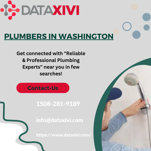 DataXiVi, a renowned service provider, excels in plumbing solutions in Washington. With a commitment to excellence, they address plumbing needs promptly and efficiently. They help their clients to get the best plumbers in washington. Trust DataXiVi for top-tier plumbing services. Elevate your plumbing experience with our skilled professionals.

https://www.dataxivi.com/plumbers/us/washington