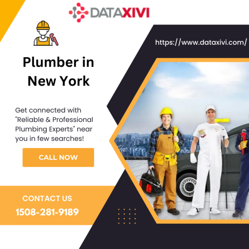 DataXiVi is  your trusted plumber in New York, delivers expert solutions for all plumbing needs. With skilled professionals and a commitment to prompt service, we tackle everything from leaks to emergencies. Transparent pricing and a dedication to excellence make DataXiVi the go-to choice for reliable plumbing services in the heart of New York.

https://www.dataxivi.com/plumbers/us/new-york