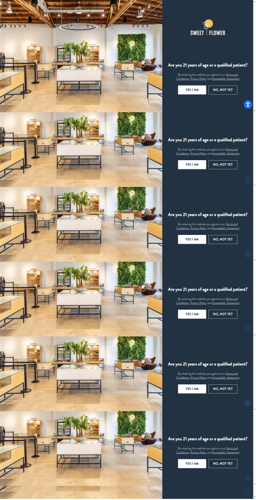 Sweet Flower invests locally — donating over $250K, supporting social equity, volunteer programs & amplifying minority-founded brands across California.
https://sweetflower.com/community/