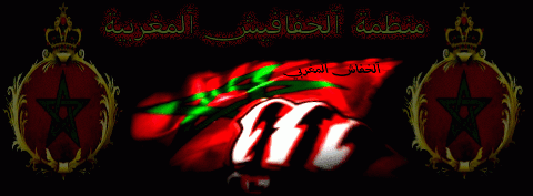 11a17e.gif