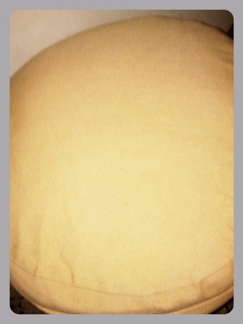 23f964.jpg