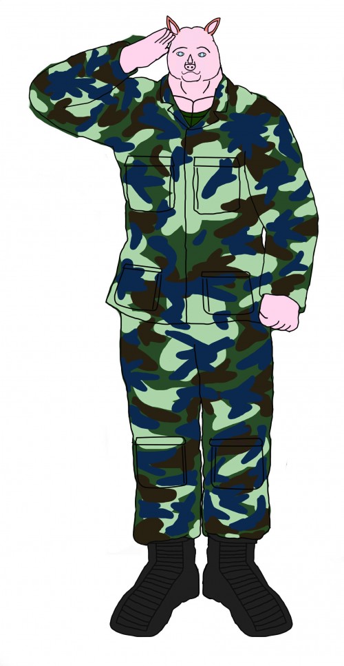 243854.jpg