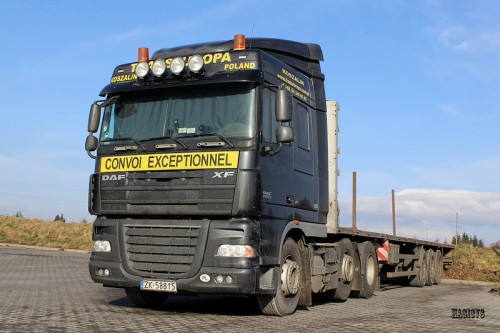 255a6d.jpg
