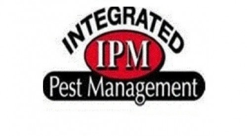 IPM Integrated Pest Management provides high quality termite and pest control services to all of south Jersey Area for over 30 years.