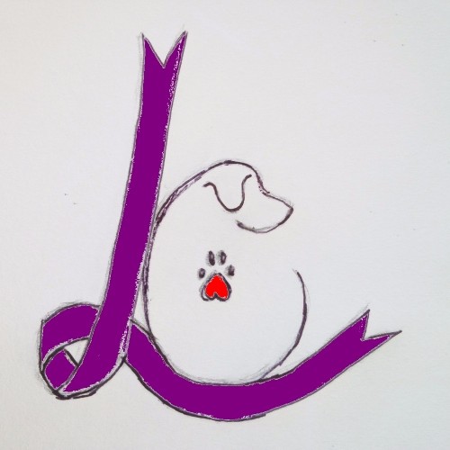 2d63c6.jpg