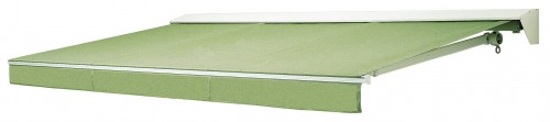 2e54b9.jpg