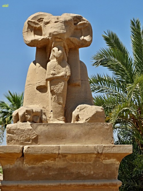 31e444.jpg