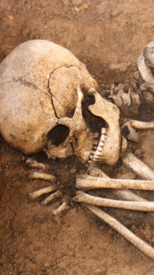 Bones skeleton earth skull 80370 1080x1920