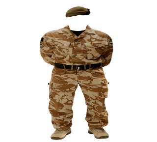 3c3c17.png