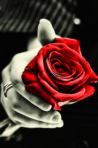 413df6.gif