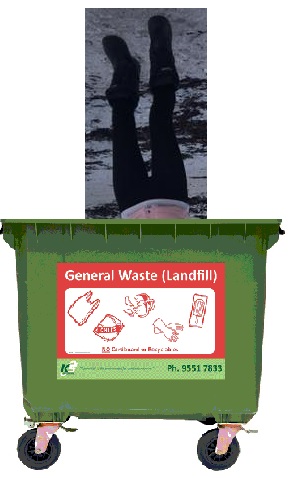 439045.jpg