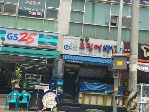 4a2103.jpg