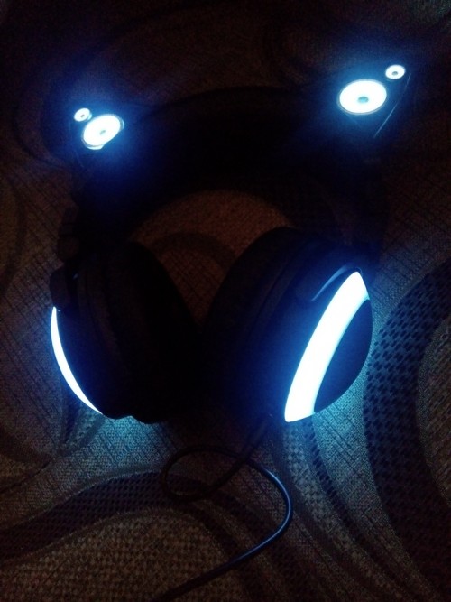 5023d3.jpg