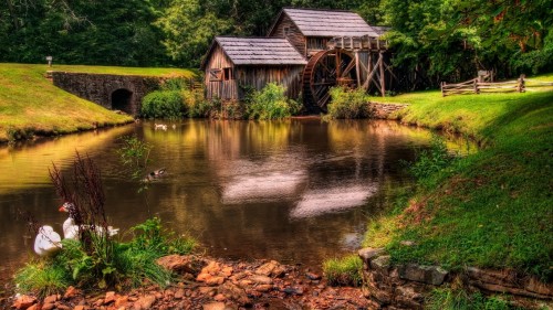 Pond geese lodges mill wheel summer 61591 1366x768