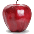 6a9291.png
