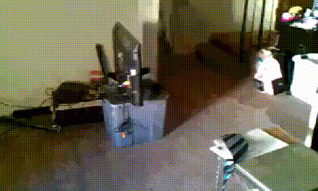 6ff599.gif
