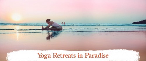 Experience the best Yoga retreats in India at Shree Yoga School at 3 beautiful locations - Dharamsala, Goa and Gokarna.
Visit us:- https://shreehariyoga.com/yoga-retreats/