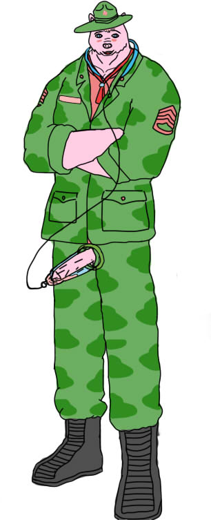 79155b.jpg
