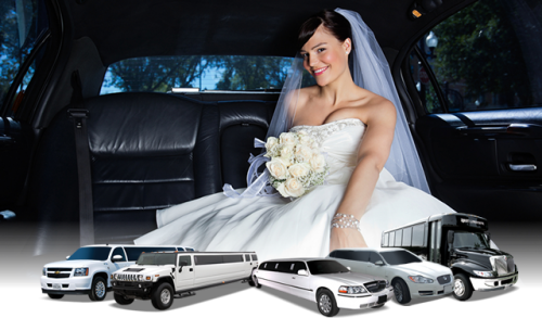 Wedding limo rental