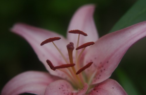 8a903b.jpg