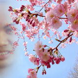 904a5d.png