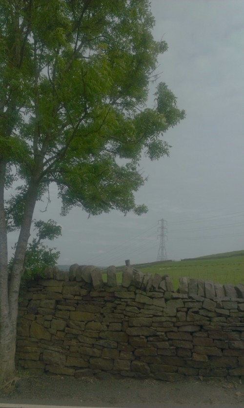 95d3b5.jpg