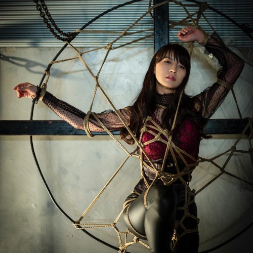 asian276.Aimi in captivity