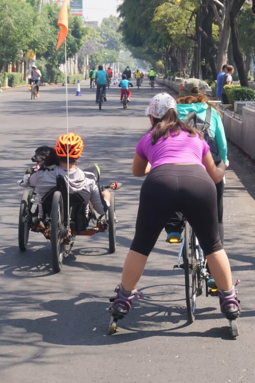 rollerbladep