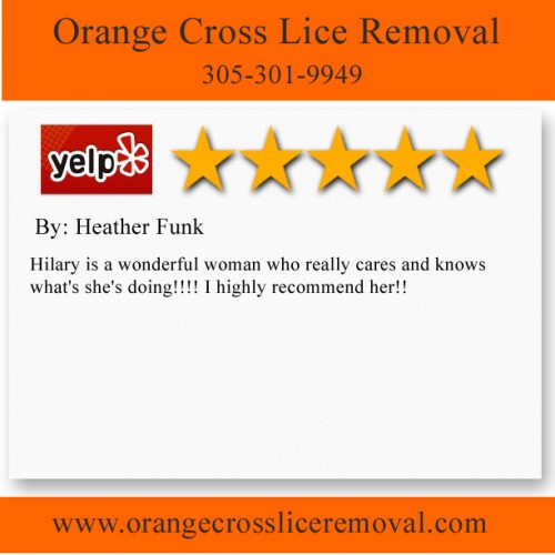 Orange Cross Lice Removal
7613 Biscayne Blvd.
Miami, FL 33138
(305) 301-9949

http://www.orangecrossliceremoval.com/