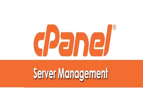 With the presentation of the web facilitating control board cpanel server the executives, taking care of a site should be possible by a totally unpracticed person. CPanel and furthermore Plesk is the most established and most 

mainstream control board. 
#bestcpanelservermanagement #cpanelservermanagement #cpanelservermanagementservices #servermanagementservices #cpanelserversupport #cheapdedicatedservers  #manageddedicatedserver  #lowcostdedicatedservers  #cheapmanageddedicatedserver   #cheapcpaneldedicatedserver 

Web: https://sites.google.com/view/httpseliteservermanagementc/home