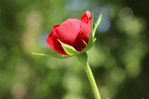 a0d583.jpg
