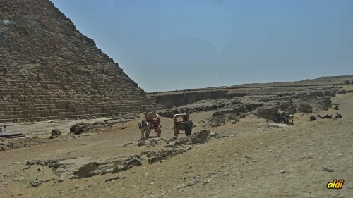 Egipt 2010 443
