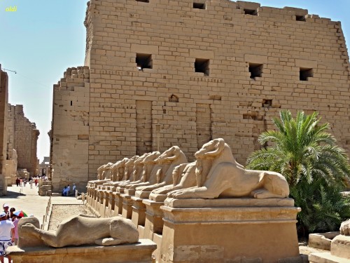 ae2115.jpg