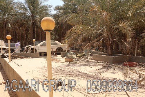 c4a009.jpg