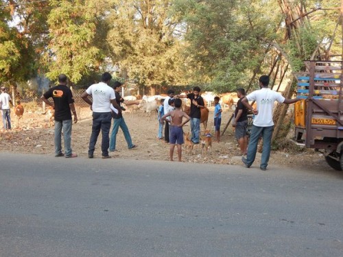 Agni foundation & PFCI volunteers tagged street dogs with a reflector.