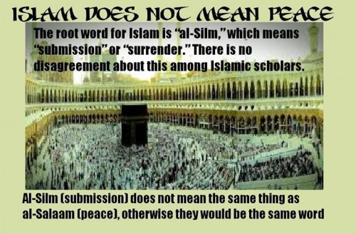 Islam means submition