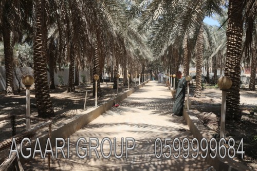 d81828.jpg
