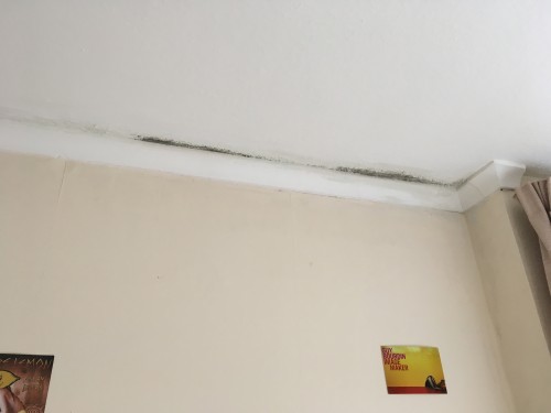 e111b4.jpg