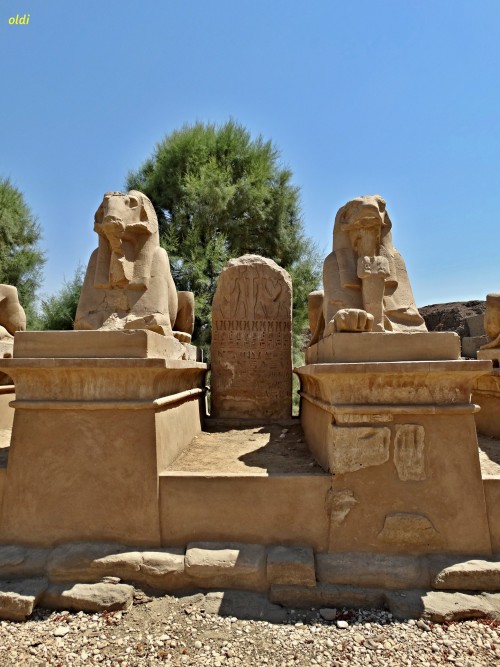 f41595.jpg