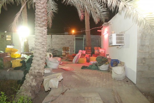 f73531.jpg